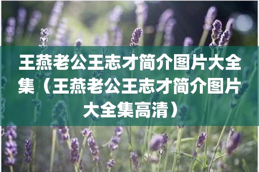王燕老公王志才简介图片大全集（王燕老公王志才简介图片大全集高清）