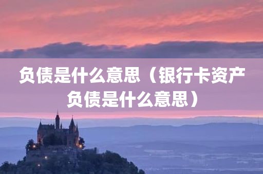 负债是什么意思（银行卡资产负债是什么意思）