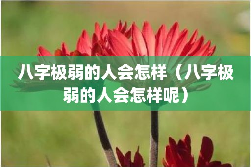 八字极弱的人会怎样（八字极弱的人会怎样呢）