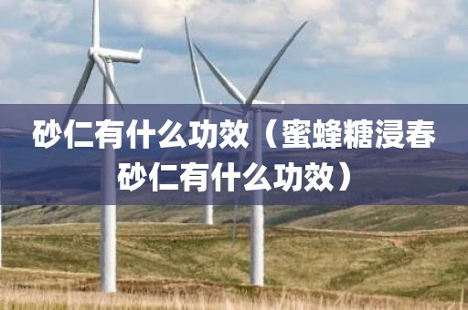 砂仁有什么功效（蜜蜂糖浸春砂仁有什么功效）
