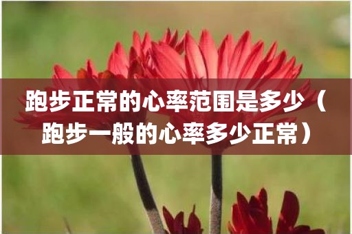 跑步正常的心率范围是多少（跑步一般的心率多少正常）