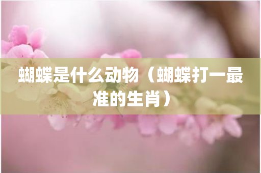 蝴蝶是什么动物（蝴蝶打一最准的生肖）