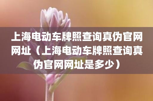 上海电动车牌照查询真伪官网网址（上海电动车牌照查询真伪官网网址是多少）