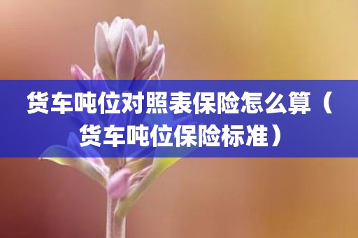 货车吨位对照表保险怎么算（货车吨位保险标准）