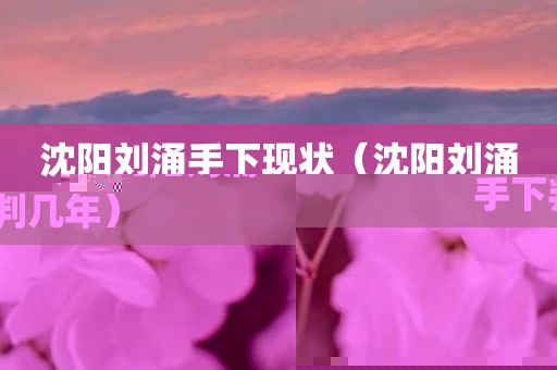 沈阳刘涌手下现状（沈阳刘涌手下判几年）