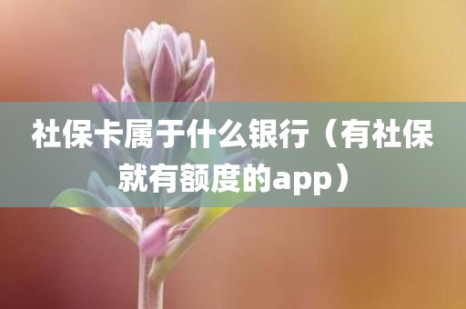 社保卡属于什么银行(有社保就有额度的app)