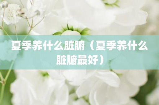 夏季养什么脏腑（夏季养什么脏腑最好）