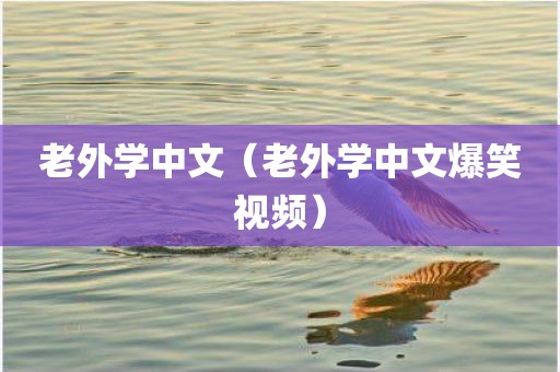 老外学中文（老外学中文爆笑视频）