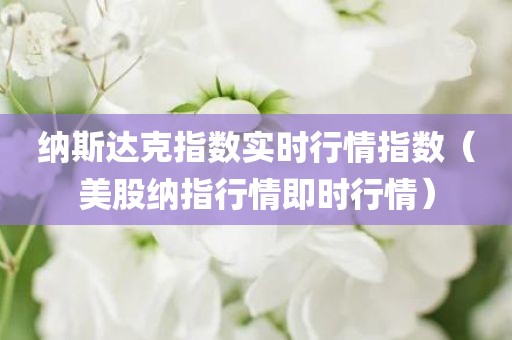 纳斯达克指数实时行情指数(美股纳指行情即时行情) 纳斯达克指数实时行情指数(美股纳指行情即时行情)