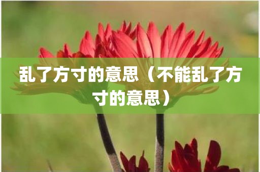 乱了方寸的意思（不能乱了方寸的意思）