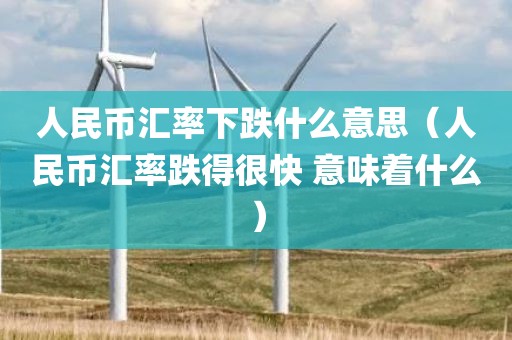 人民币汇率下跌什么意思(人民币汇率跌得很快 意味着什么)