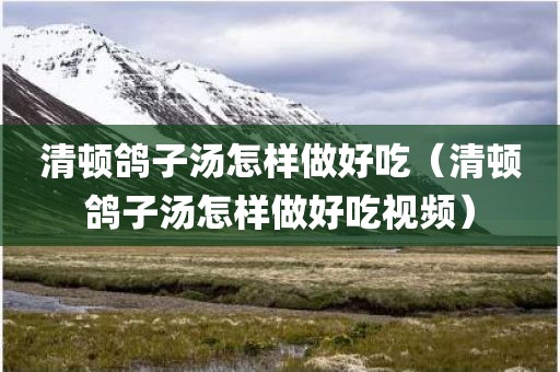 清顿鸽子汤怎样做好吃（清顿鸽子汤怎样做好吃视频）