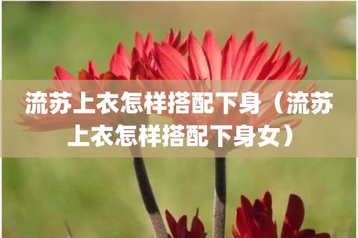 流苏上衣怎样搭配下身（流苏上衣怎样搭配下身女）