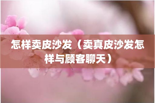 怎样卖皮沙发（卖真皮沙发怎样与顾客聊天）