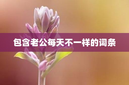 包含老公每天不一样的词条