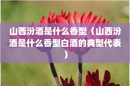 山西汾酒是什么香型（山西汾酒是什么香型白酒的典型代表）