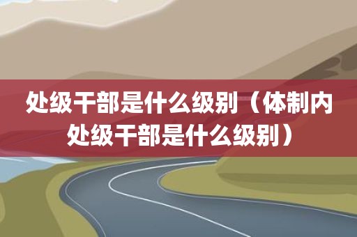 处级干部是什么级别（体制内处级干部是什么级别）