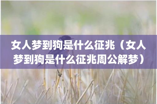 女人梦到狗是什么征兆（女人梦到狗是什么征兆周公解梦）