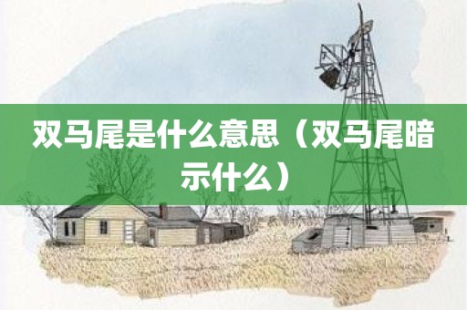 双马尾是什么意思（双马尾暗示什么）