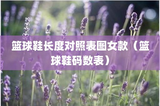 篮球鞋长度对照表图女款（篮球鞋码数表）