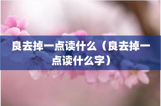 良去掉一点读什么（良去掉一点读什么字）