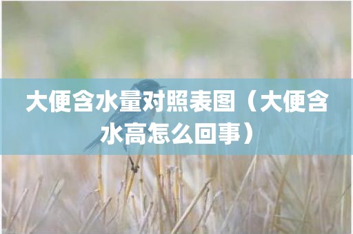 大便含水量对照表图（大便含水高怎么回事）