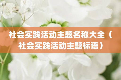 社会实践活动主题名称大全(社会实践活动主题标语) 社会实践活动主题名称大全(社会实践活动主题标语)