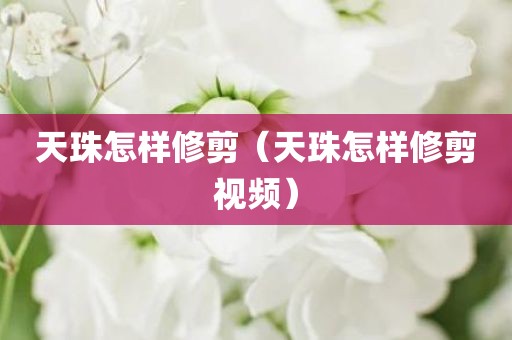 天珠怎样修剪（天珠怎样修剪视频）