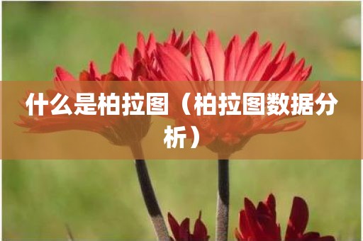 什么是柏拉图（柏拉图数据分析）
