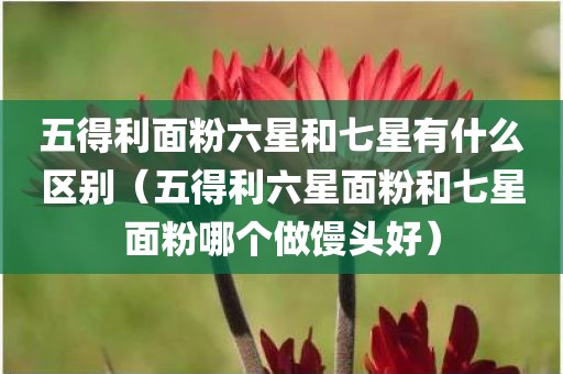 五得利面粉六星和七星有什么区别（五得利六星面粉和七星面粉哪个做馒头好）