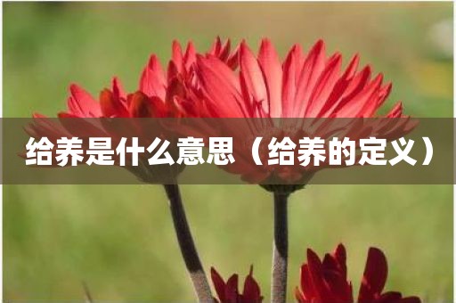 给养是什么意思(给养的定义)