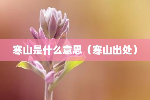 寒山是什么意思（寒山出处）
