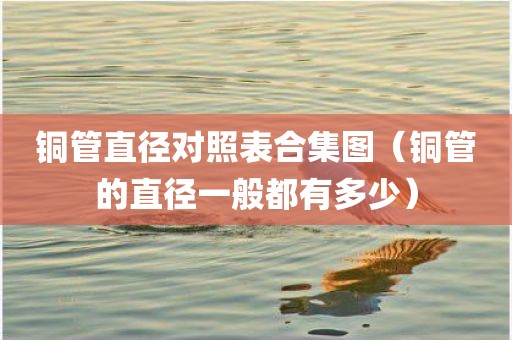 铜管直径对照表合集图（铜管的直径一般都有多少）