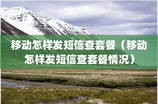 移动怎样发短信查套餐（移动怎样发短信查套餐情况）
