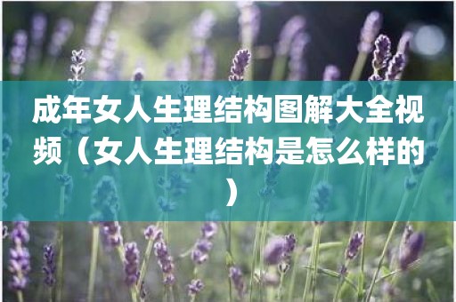 成年女人生理结构图解大全视频(女人生理结构是怎么样的)