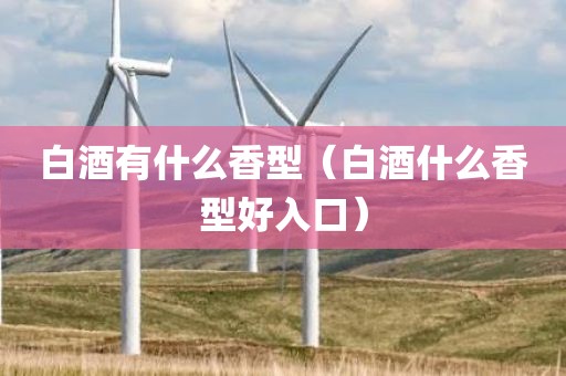 白酒有什么香型（白酒什么香型好入口）