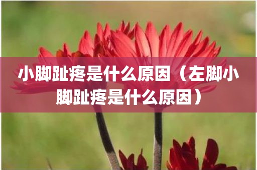小脚趾疼是什么原因（左脚小脚趾疼是什么原因）