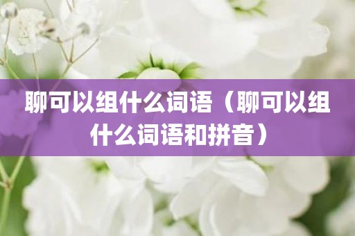 聊可以组什么词语（聊可以组什么词语和拼音）