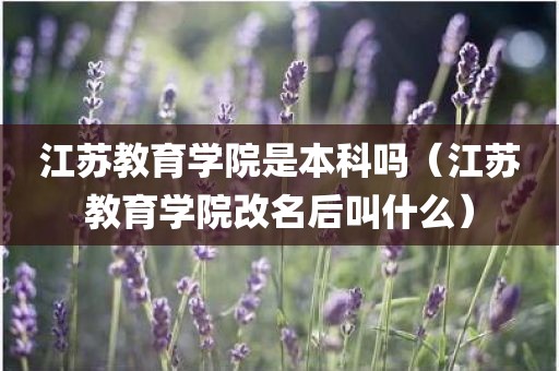 江苏教育学院是本科吗（江苏教育学院改名后叫什么）