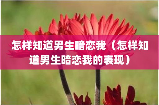 怎样知道男生暗恋我（怎样知道男生暗恋我的表现）