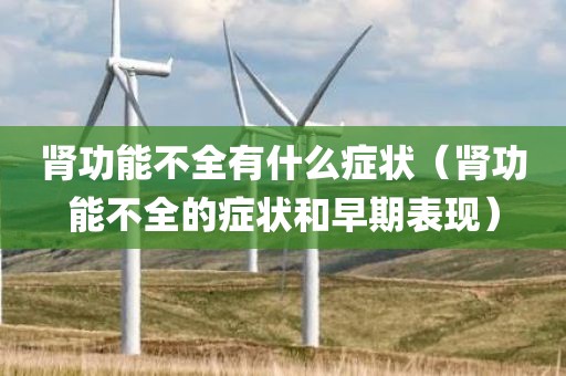 肾功能不全有什么症状（肾功能不全的症状和早期表现）