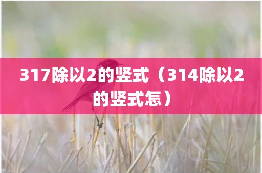 317除以2的竖式（314除以2的竖式怎）