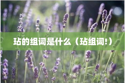 玷的组词是什么（玷组词!）