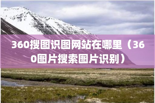360搜图识图网站在哪里（360图片搜索图片识别）