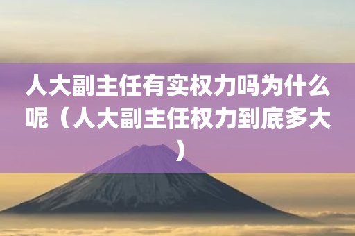 人大副主任有实权力吗为什么呢（人大副主任权力到底多大）