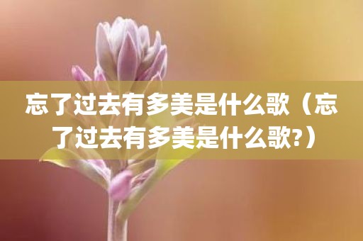 忘了过去有多美是什么歌(忘了过去有多美是什么歌?)