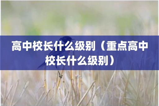 高中校长什么级别（重点高中校长什么级别）