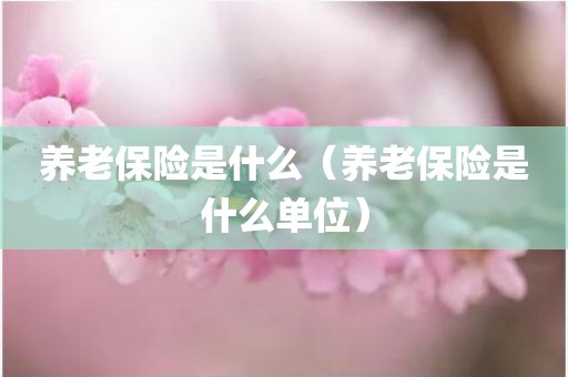养老保险是什么（养老保险是什么单位）