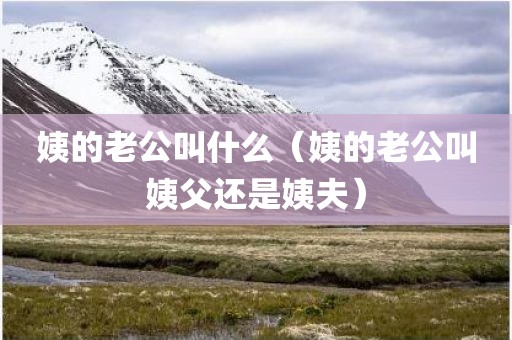 姨的老公叫什么（姨的老公叫姨父还是姨夫）