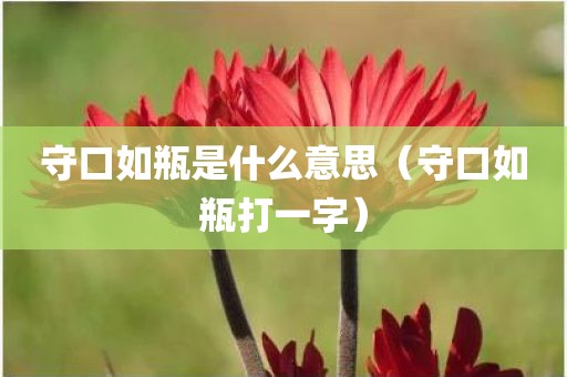 守口如瓶是什么意思（守口如瓶打一字）